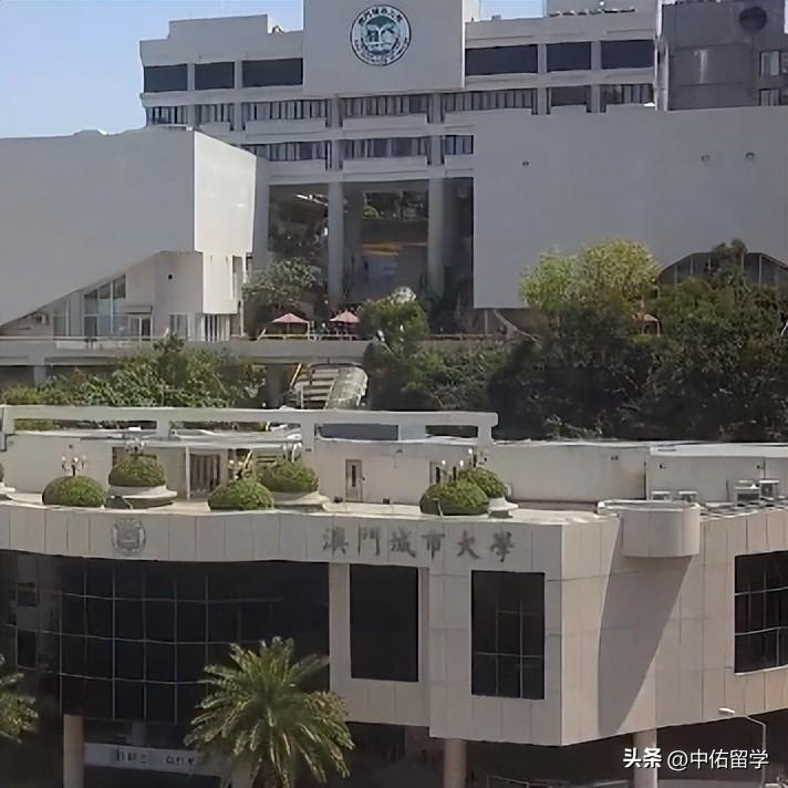 2024澳门天天开好彩大全51期,统计数据详解说明_UZS57.735零售版