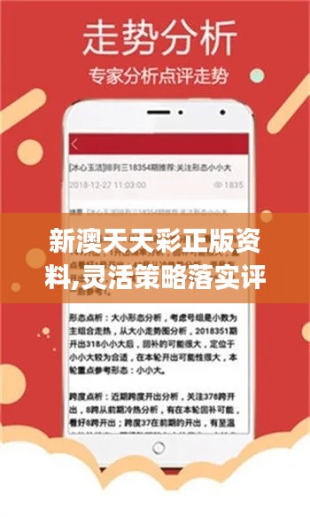 新澳天天彩免费资料查询,稳固计划实施_UUM57.766机器版