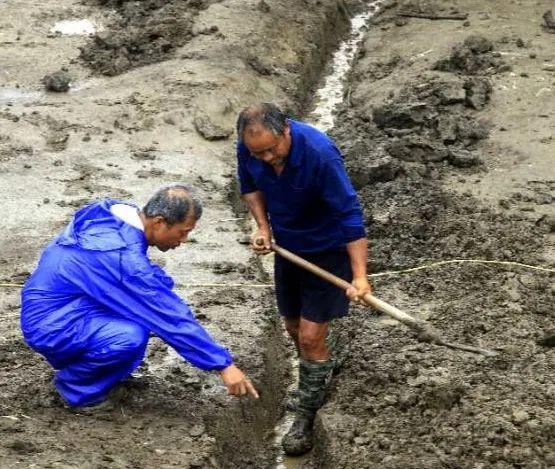 含山运漕小巷深处的独特魅力,最新消息与一家特色小店的惊喜