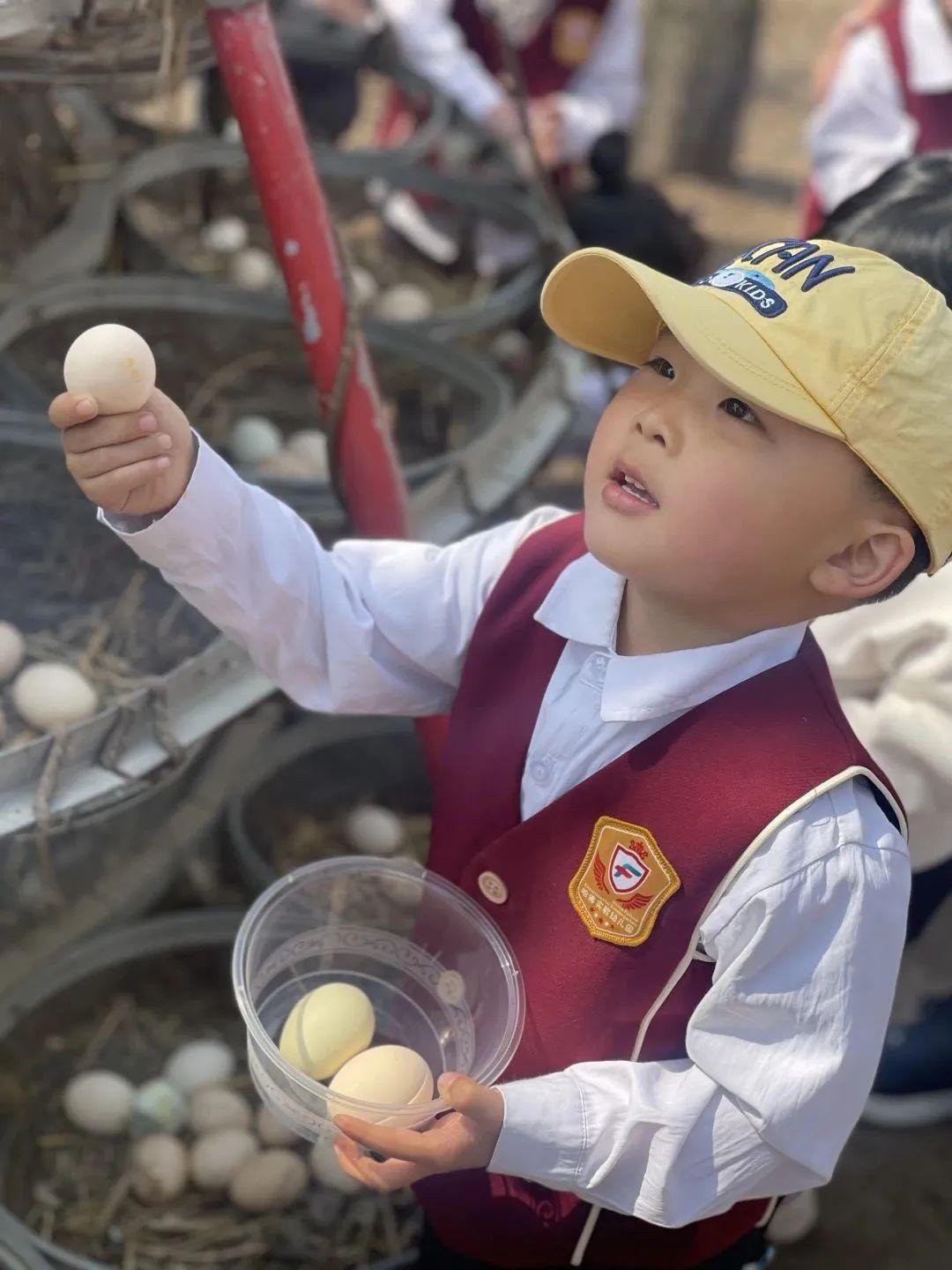 公园亲密互动图,自信与成就之旅的生动展现