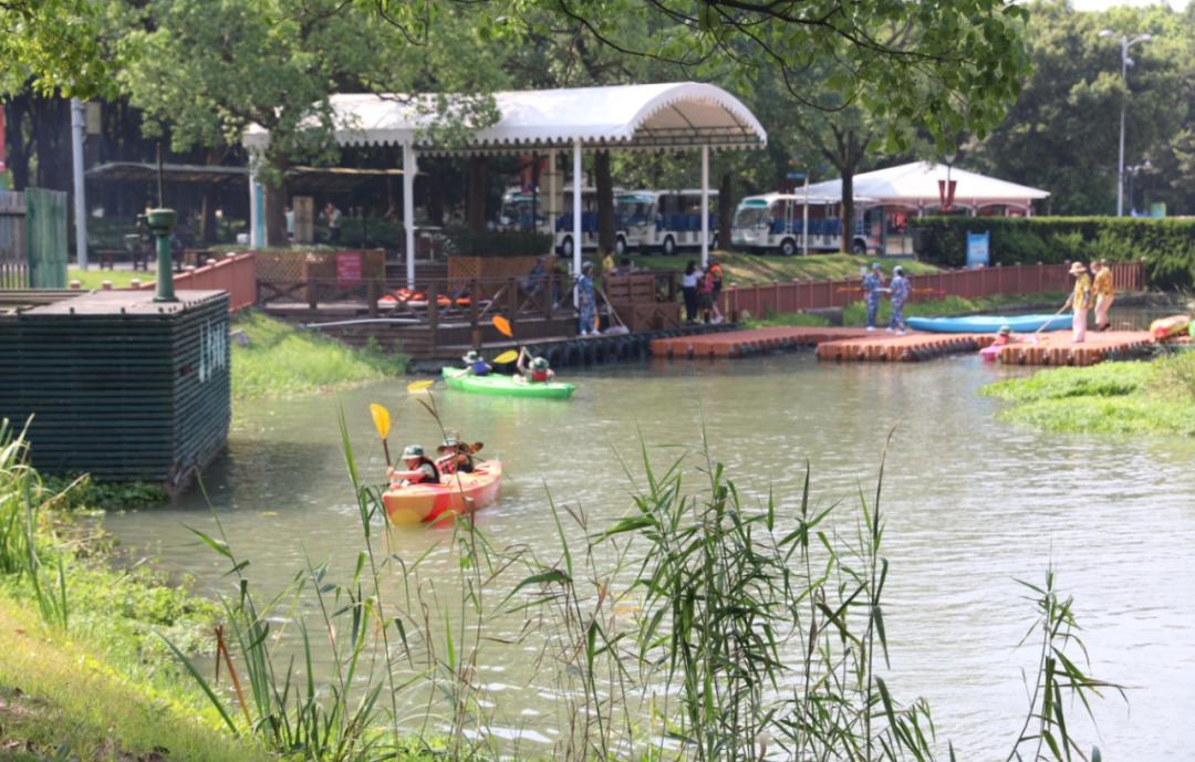 公园亲密互动图,自信与成就之旅的生动展现