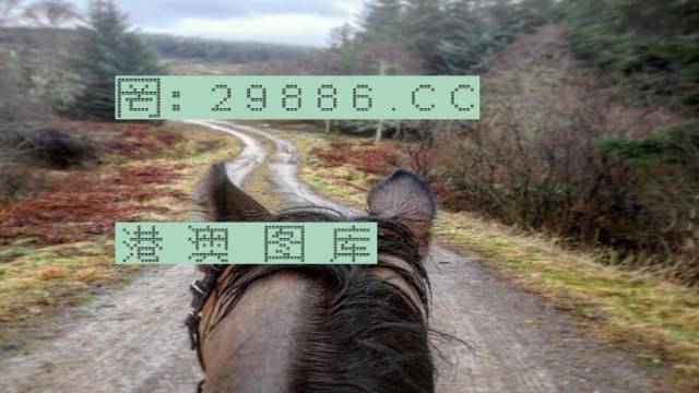 7777788888精准跑狗图正版,实地应用实践解读_TYW77.387特色版