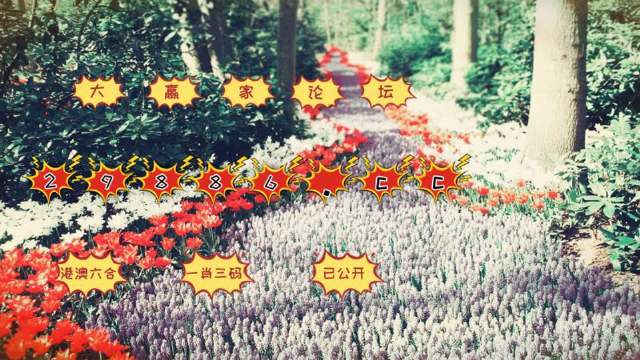 最准一肖一码100%精准,科技成果解析_YNF77.662增强版