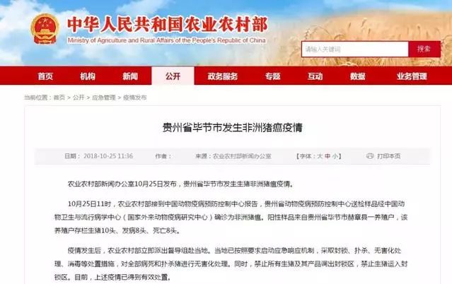 2024最新奥马免费资料四不像,操作实践评估_FHO77.788活动版