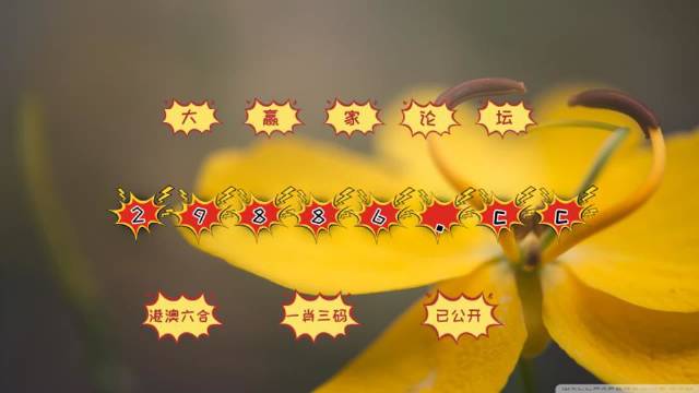 4949澳门彩网站,仿真方案实施_XJG77.603配送版