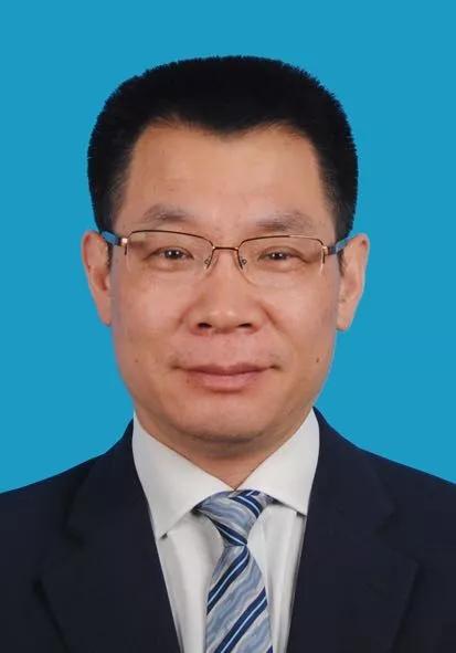 新奥2024全网资料,实地数据评估分析_VWQ57.552美学版