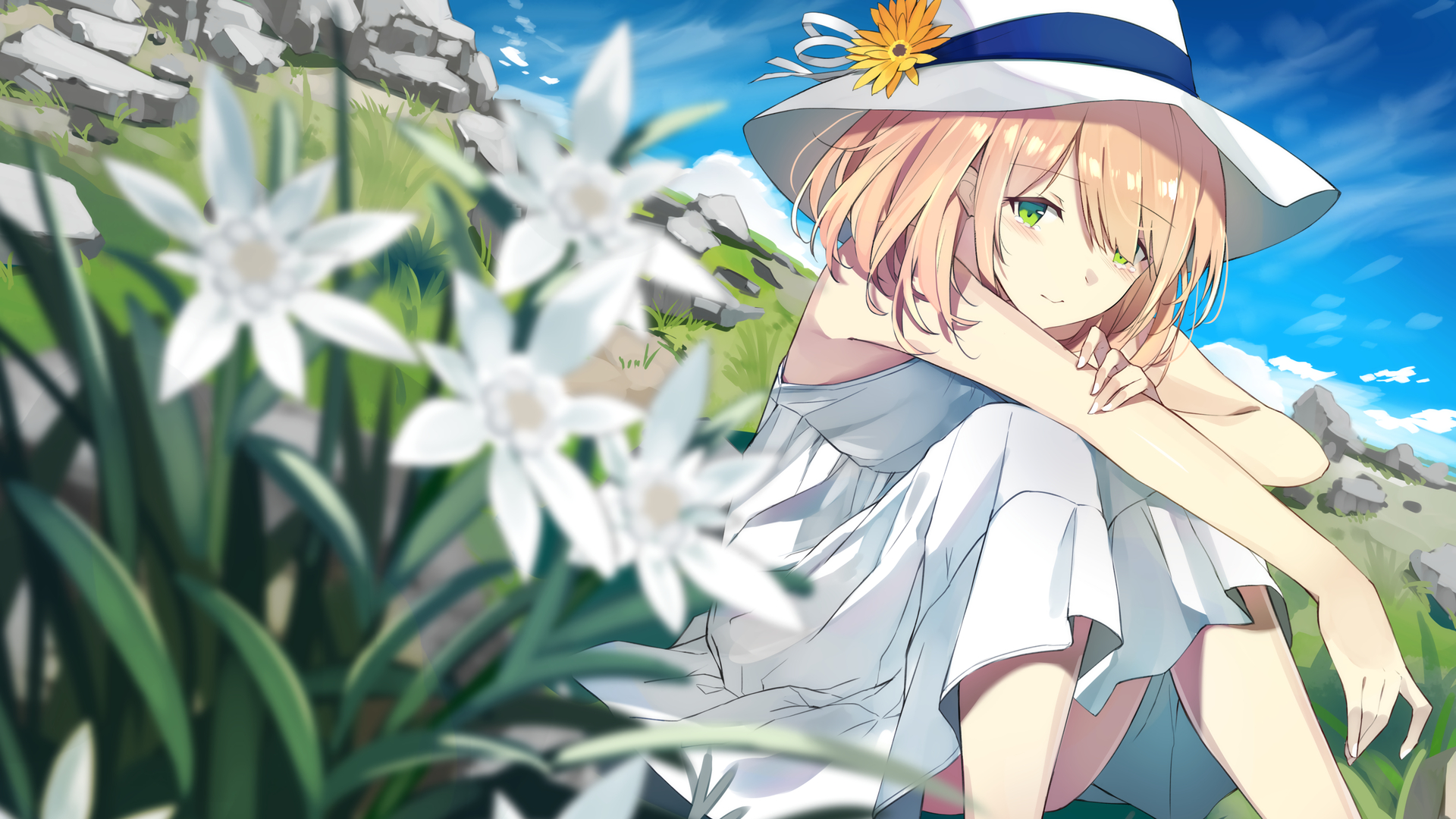 新澳门天天幵好彩大全,科学分析严谨解释_PLX57.750动漫版