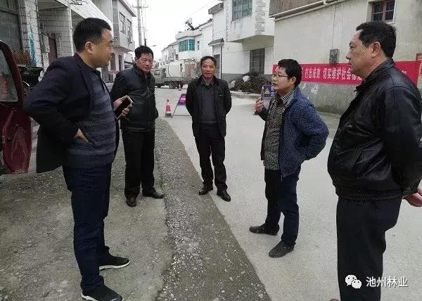 池州一高校内惊现狂奔野猪,深入登降数据利用_UDT57.392交互版