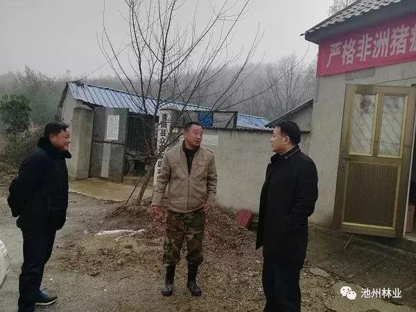 池州一高校内惊现狂奔野猪,深入登降数据利用_UDT57.392交互版