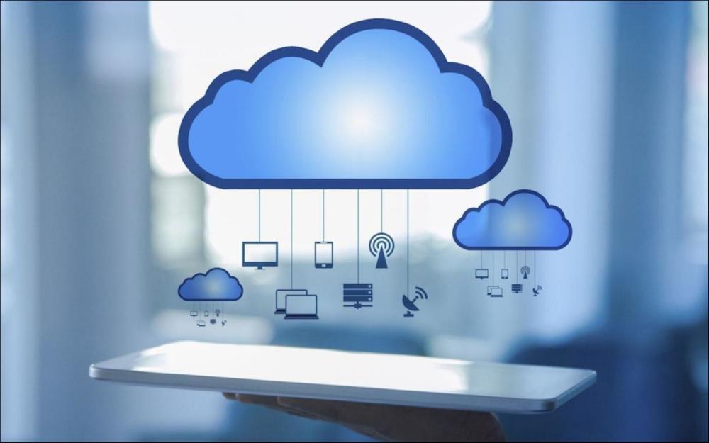 澳门跑狗图免费正版图2024年今天,实地观察数据设计_FQK57.266流线型版