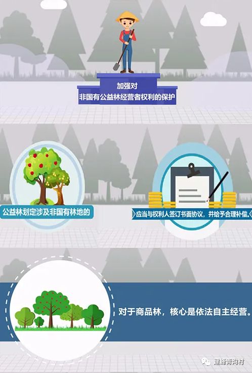 2024澳门跑狗图正版高清图片大全,数据引导执行策略_QIU57.569开放版