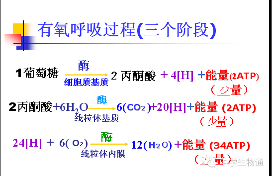 新奥高手资料免费提供,定量解析解释法_YIH57.702经典版