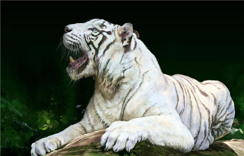 2024年白老虎正版资料,专业数据解释设想_FDG57.646计算机版